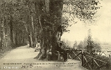 Remiremont. - Panorama pris de la Promenade du Calvaire